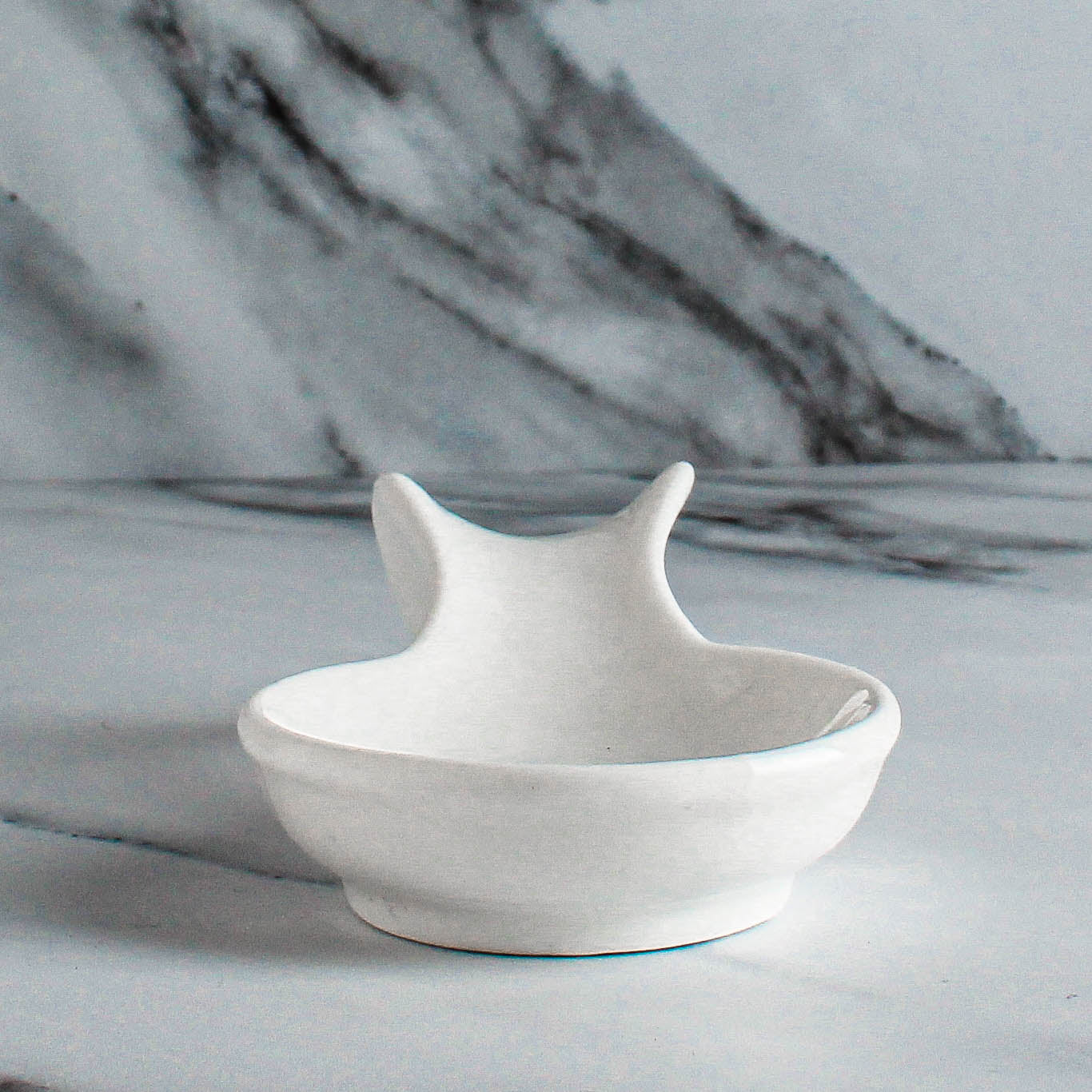Spoon Rest